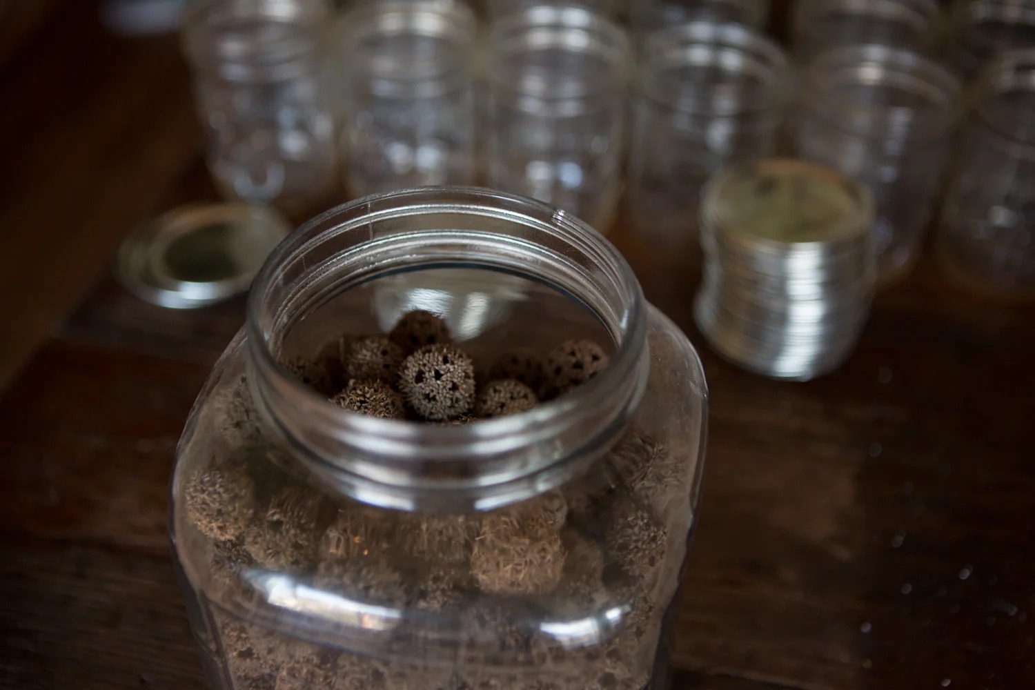 Dried herbs in jar
